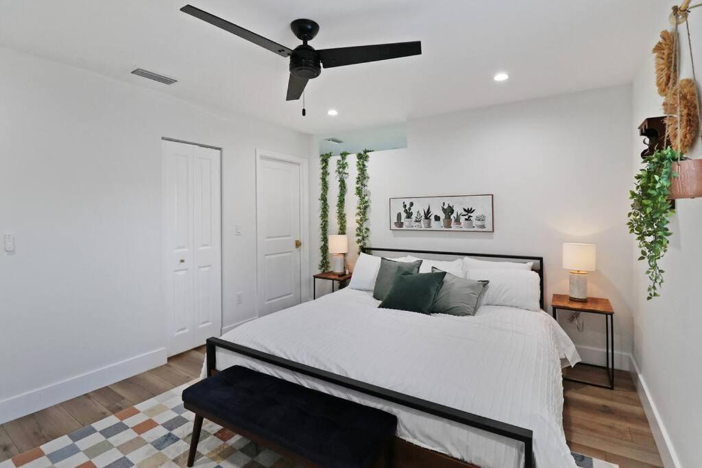 Palm Tree Paradise Tampa Pool Home Εξωτερικό φωτογραφία
