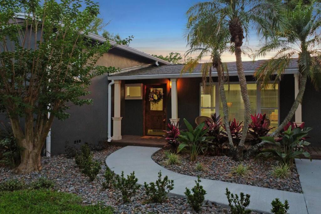 Palm Tree Paradise Tampa Pool Home Εξωτερικό φωτογραφία